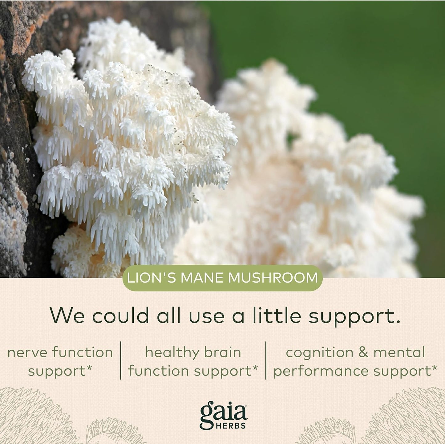 Gaia Herbs, Lions Mane Mushroom