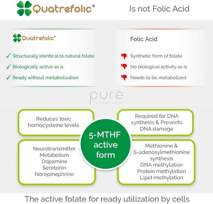 Methyl B Complete - Methylated B Complex Vitamins 5-MTHF Folate Supplement, B12 Methylcobalamin, B2, B6 & TMG Trimethylglycine, Methylfolate Folic Acid - Made in the USA