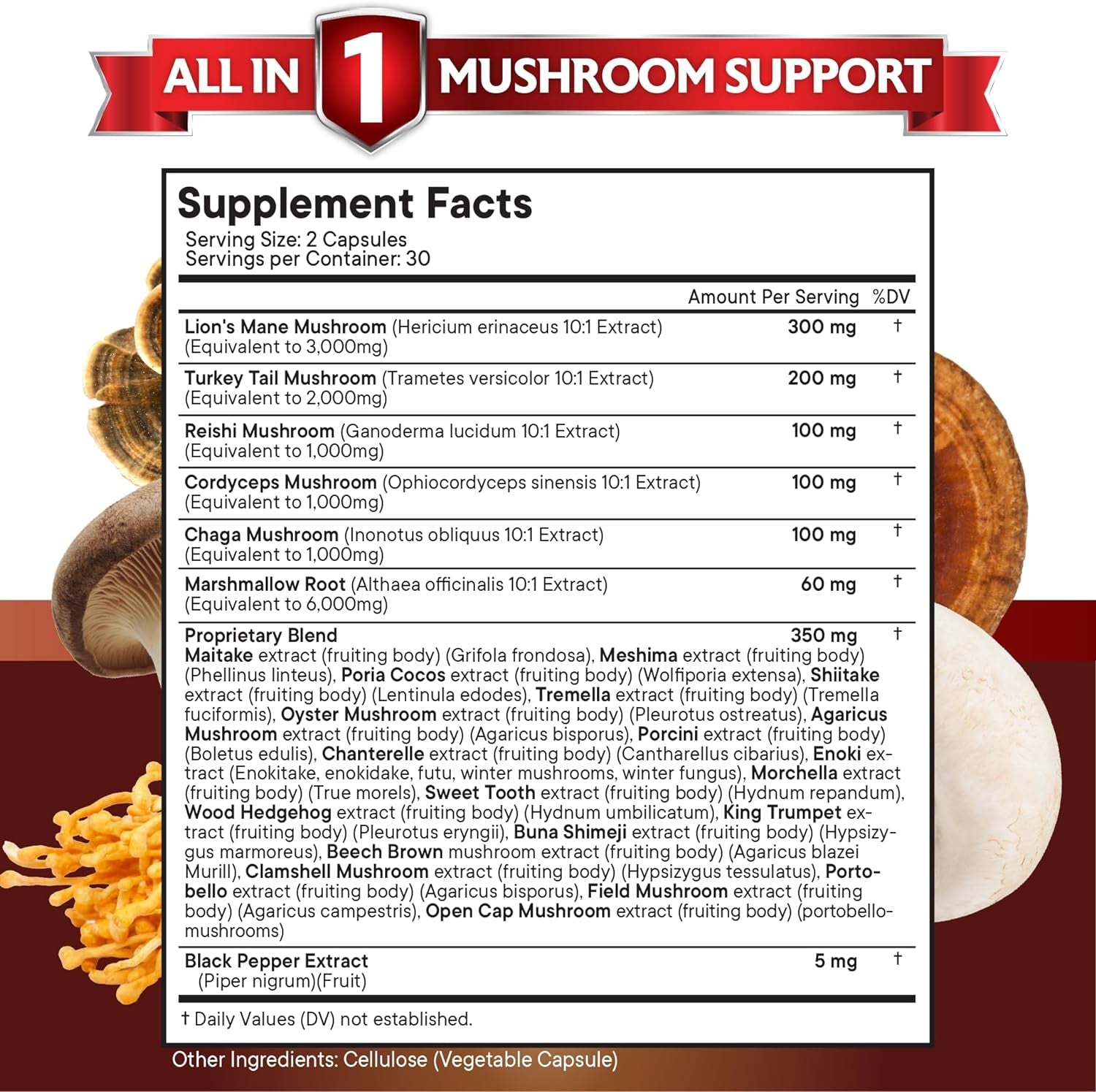 NEW AGE Lions Mane 3000Mg 20In1 Mushroom Supplement with Turkey Tail 2000Mg Reishi 1000Mg Cordyceps Chaga 1000Mg with Marshmallow Root